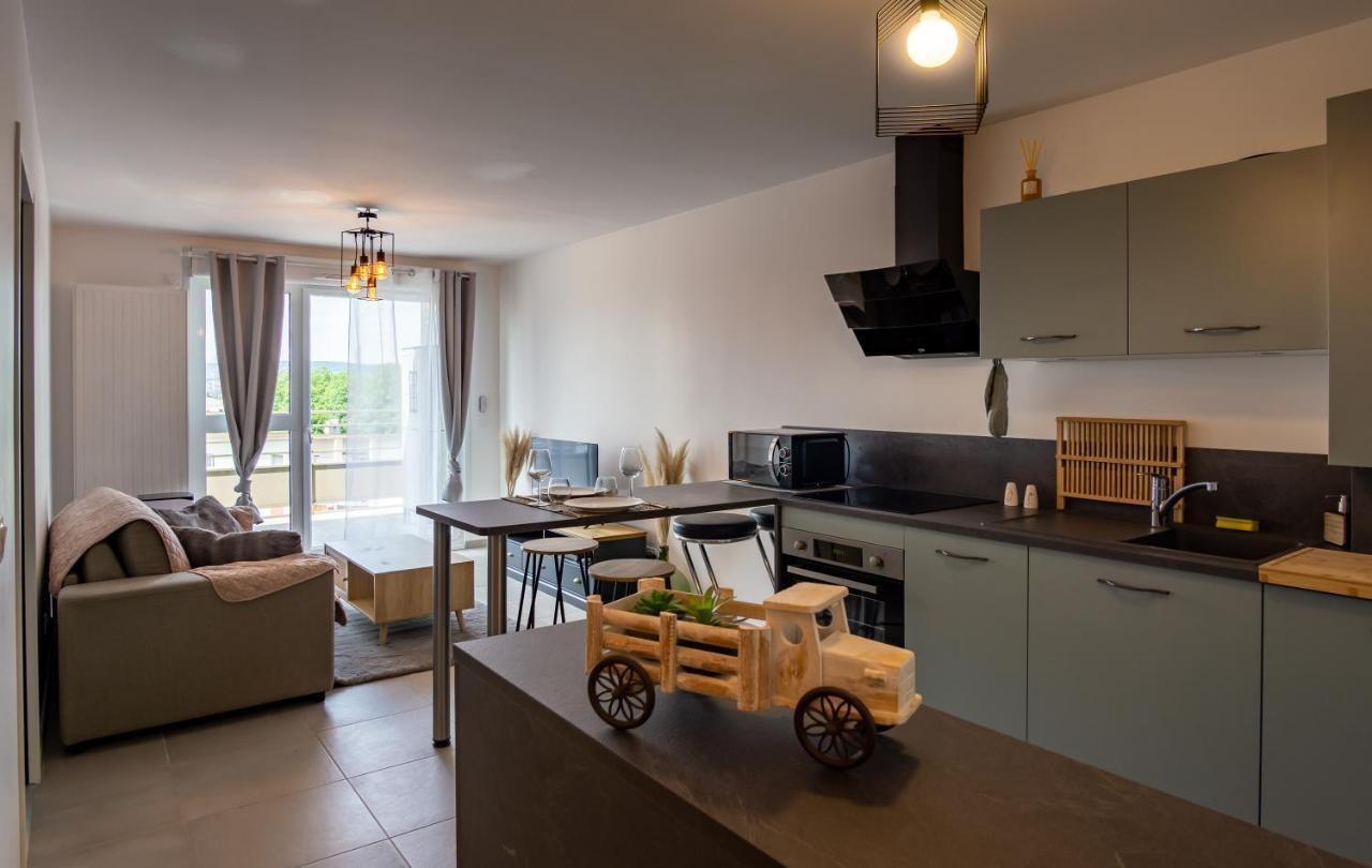 85 Geneve Confortable T2 Avec Parking Prive 阿讷西 外观 照片